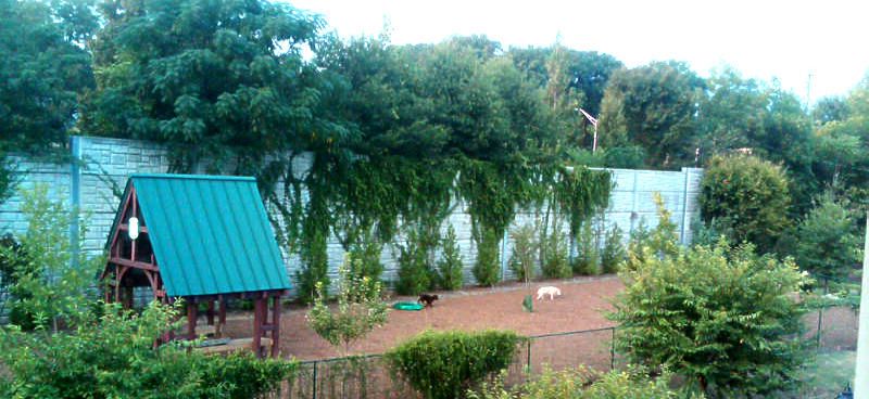 The Glenwood Dog Park